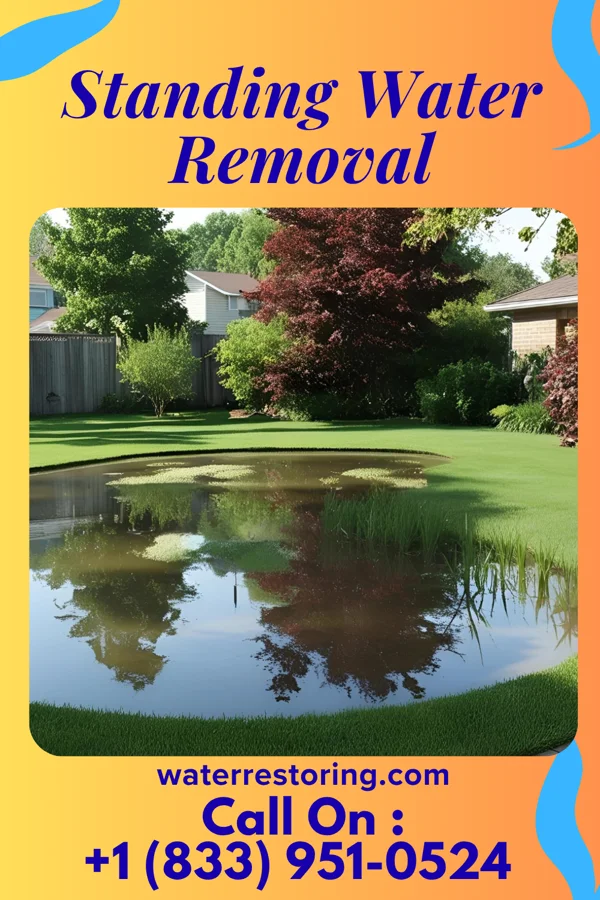 Standing Water Removal in Clayton, KS